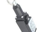 PAP1T98PZ11A Limit Switches
