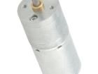 75:1 25DX54L MM LP 12V DC Motors