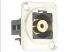 CP30231M  Wire & Cable