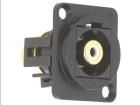 CP30231MB  Wire & Cable