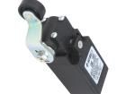 FR 1651-S1 Limit Switches