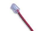 1961-50R Ethernet Cables / Networking Cables
