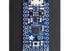 2010 Development Boards & Kits - AVR