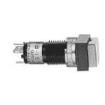 KB25SKW01-5F-JF Pushbutton Switches