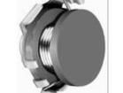 CDH53NP-101JC Fixed Inductors