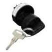 84829-09 Keylock Switches