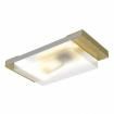 APG1608CGKC/T  Optoelectronics
