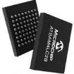 ATSAM4LC2BA-UUR ARM Microcontrollers - MCU