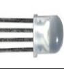 L-154A4SUREQBFZGEW Standard LEDs - Through Hole