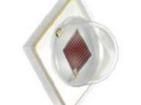 GR CS8PM1.23-JUKQ-1 High Power LEDs - Single Colour