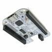 BEAGLEBONE-DVIDCAPE 