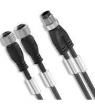 SAIL-ZW-M12BG-3-3.0U Sensor Cables / Actuator Cables