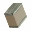 100C470JW2500XC Multilayer Ceramic Capacitors MLCC - SMD/SMT