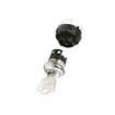 A421122A1NZRQ Keylock Switches