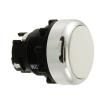 A22R-FW-M Pushbutton Switches