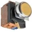 A22NN-RNM-NWA-G100-NN  Electromechanical