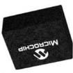DSC6003HI1A-000.0000T  Passive Components
