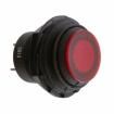 GPB553B201BR Pushbutton Switches