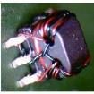 MABACT0066 RF Adapters - Between Series