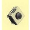 TSSE65R-J Tactile Switches