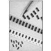 NRSN06I4F1001TRF  Passive Components