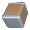 C3225X7R1E225K200AM Multilayer Ceramic Capacitors MLCC - SMD/SMT