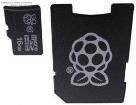 RAPB-MSDH16GPH-8010I 