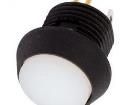 FL12DRB5 Pushbutton Switches