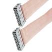 310J101-20-CA006 Rectangular Cable Assemblies