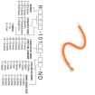 H3BXT-10108-A6 Rectangular Cable Assemblies