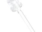 OSV5YL8131A Standard LEDs - Through Hole