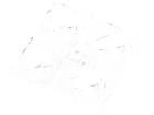 C14116_STRADA-2X2-PX  Optoelectronics