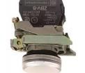 XB4BV61 Pushbutton Switches