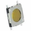 431151008826 Tactile Switches
