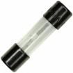 0034.3101 Cartridge Fuses