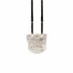 XLM2ACY169W 