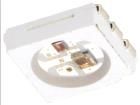 WS2822S  Optoelectronics