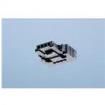 234452  Wire & Cable