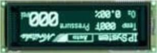 GU256X64E-3900B  Optoelectronics
