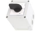 GX1653P Basic / Snap Action Switches