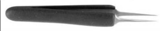 DT000010 