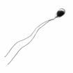 112-105PAJ-B01 NTC (Negative Temperature Coefficient) Thermistors
