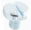 M5 6 PSSTMC Z100 Screws & Fasteners
