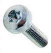 M3/12/PTSTMCZ100 Screws & Fasteners