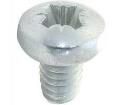 M46PTSTMCZ100- Screws & Fasteners