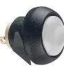 IBR3SAD7/1 Pushbutton Switches