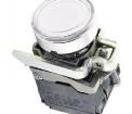 XB4BW31M5 Pushbutton Switches