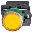XB5AW35M5 Pushbutton Switches