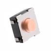 430473035826 Tactile Switches