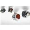 MS3474L20-39P L/C  Connectors